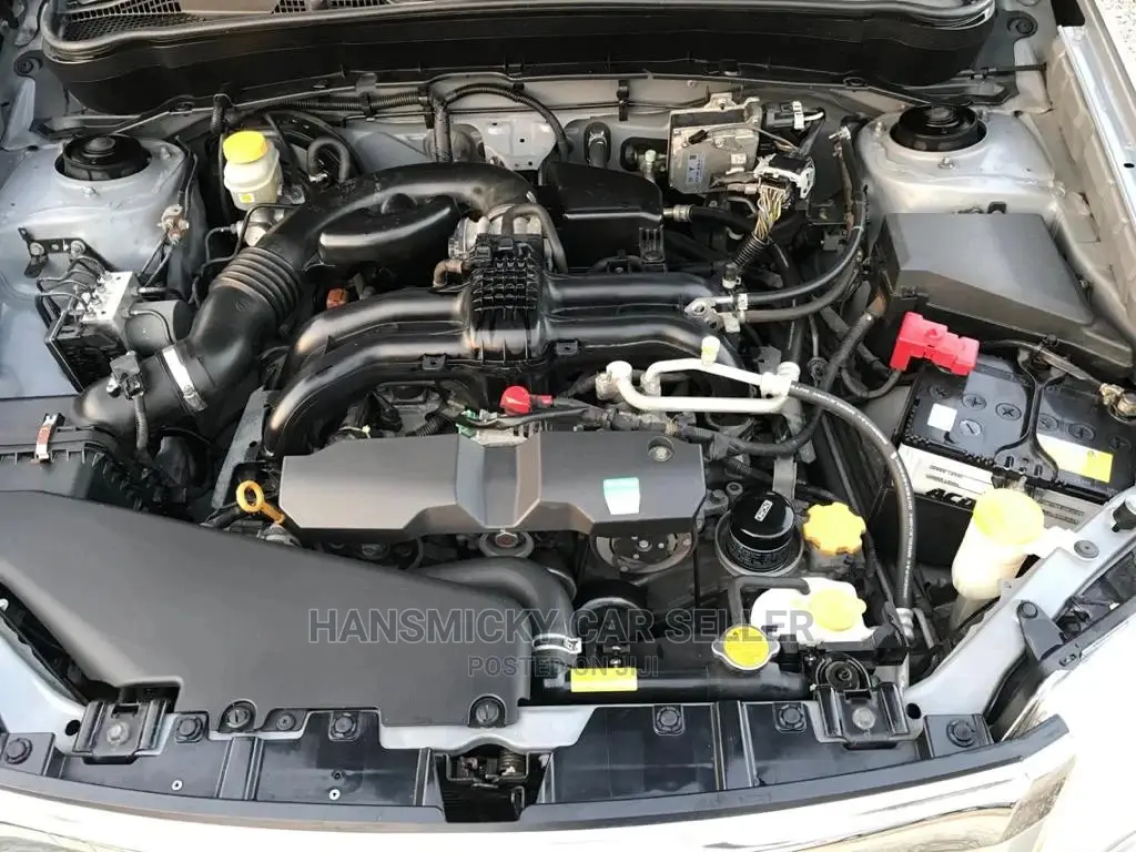 Subaru Forester 2010 Gray
