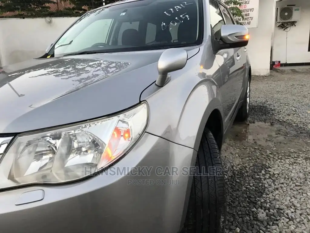 Subaru Forester 2010 Gray