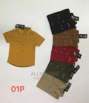 New Brand Og