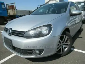Volkswagen Golf 2010 Silver