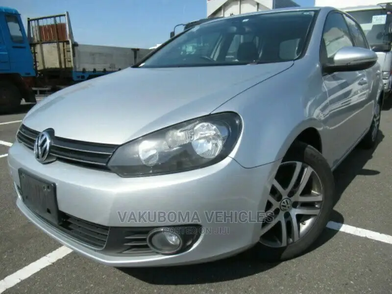 Volkswagen Golf 2010 Silver