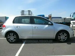 Volkswagen Golf 2010 Silver