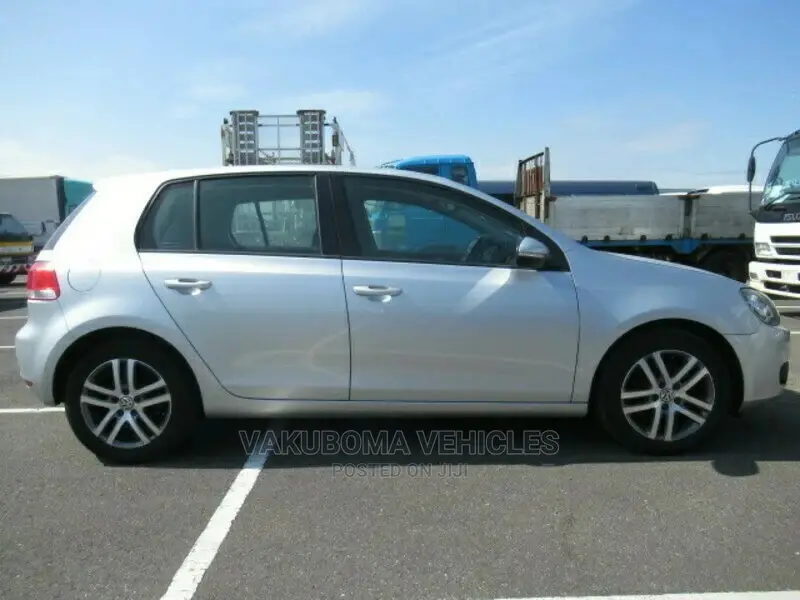 Volkswagen Golf 2010 Silver