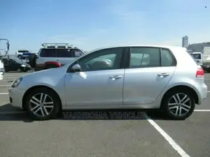 Volkswagen Golf 2010 Silver