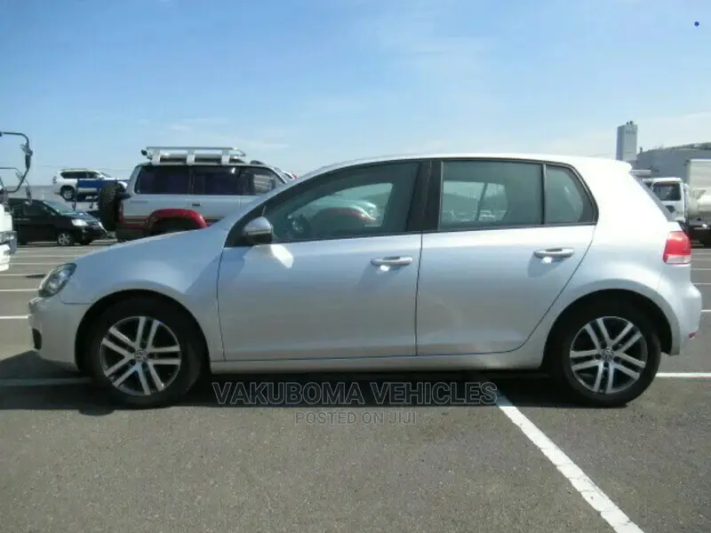 Volkswagen Golf 2010 Silver