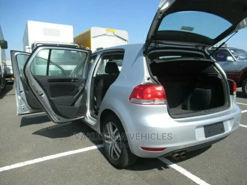Volkswagen Golf 2010 Silver