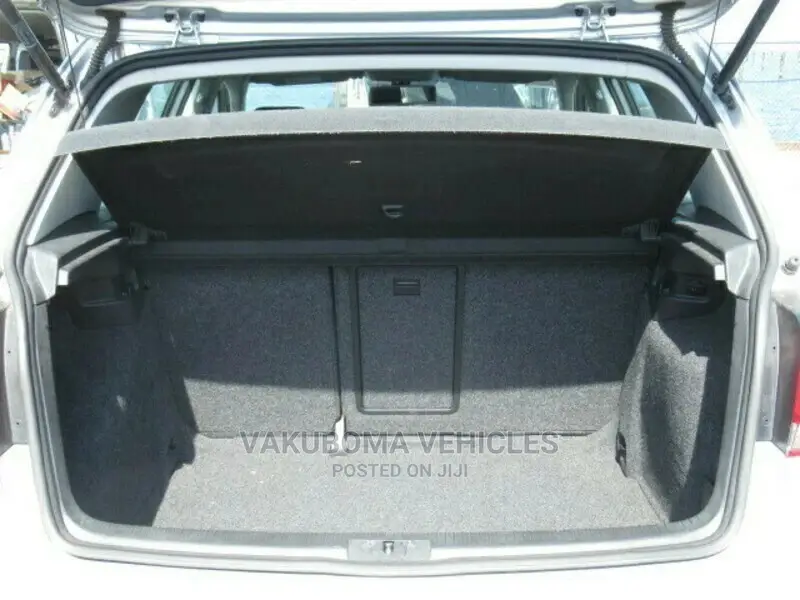 Volkswagen Golf 2010 Silver