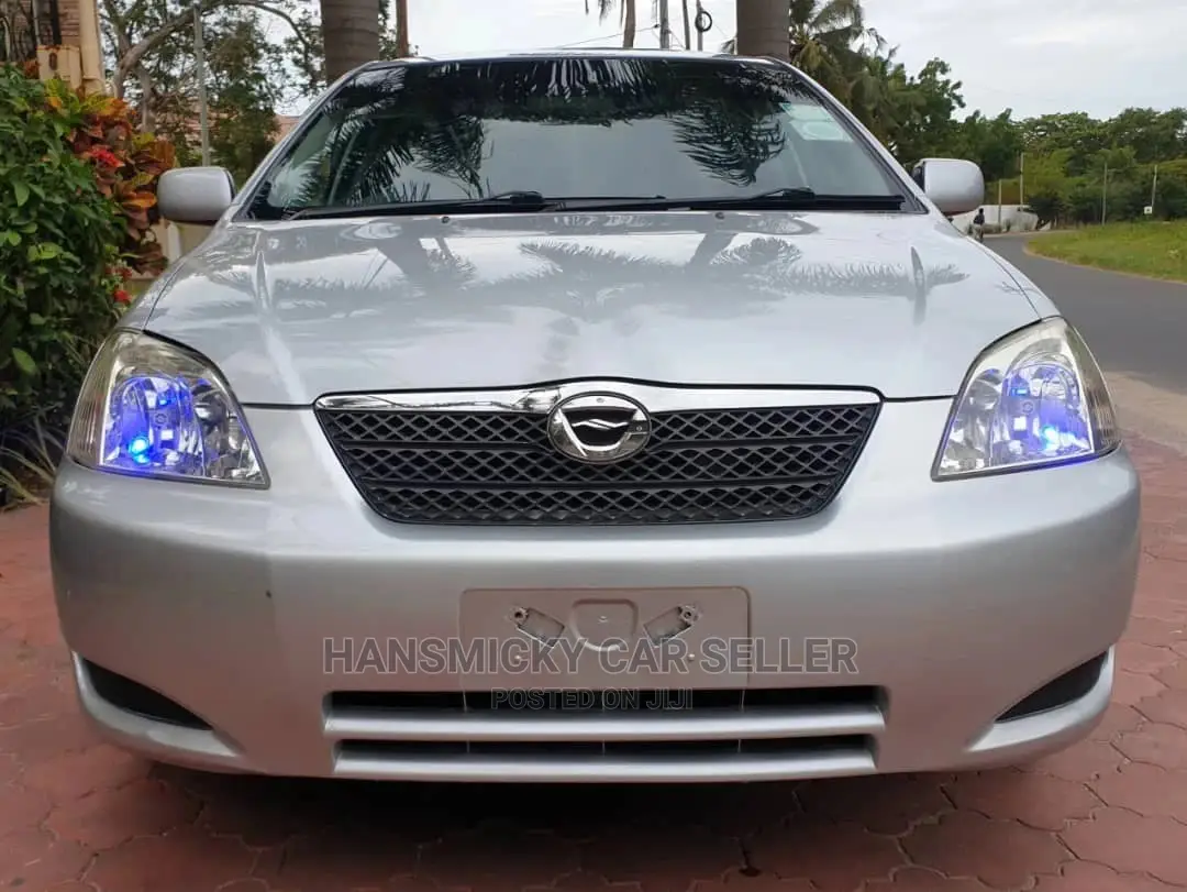 Toyota Allex 2004 Silver