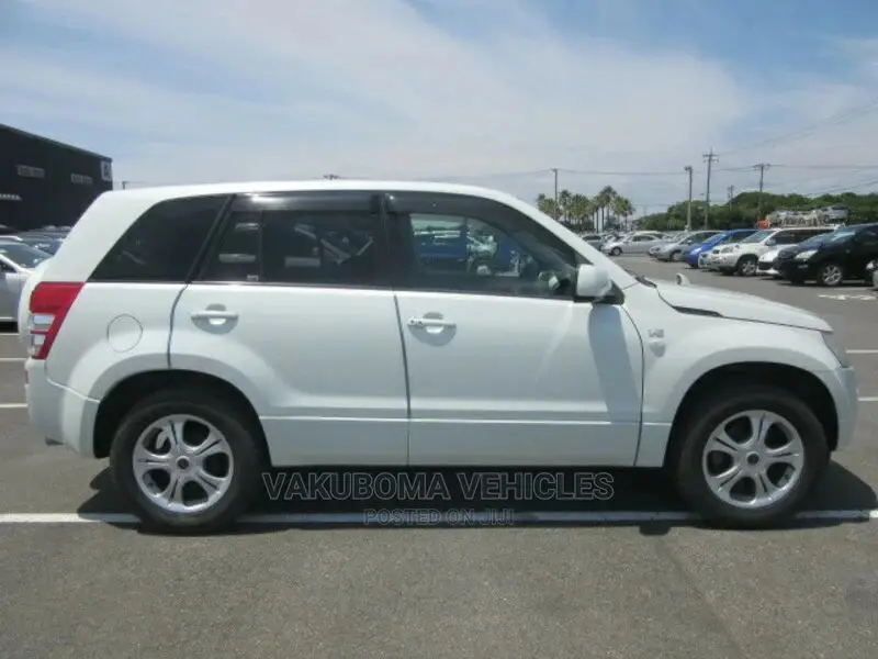 Suzuki Escudo 2008 Pearl