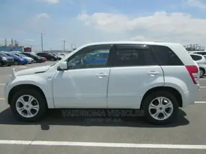 Suzuki Escudo 2008 Pearl