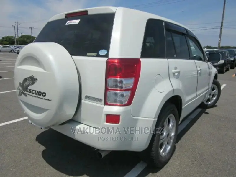 Suzuki Escudo 2008 Pearl