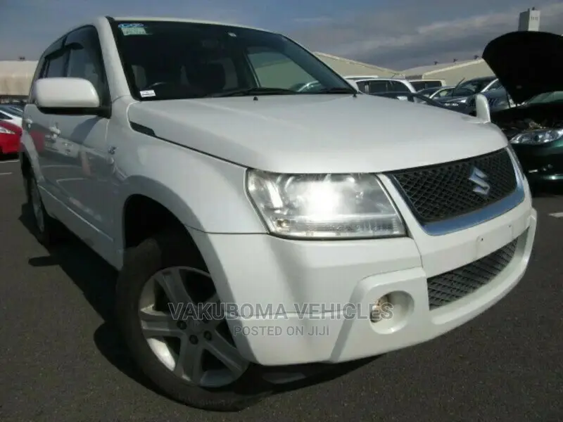 Suzuki Escudo 2006 Pearl