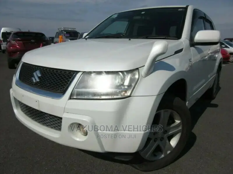 Suzuki Escudo 2006 Pearl