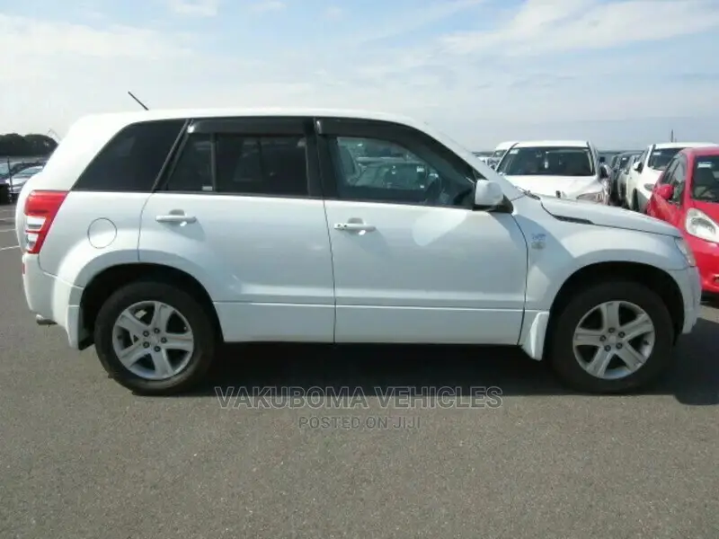 Suzuki Escudo 2006 Pearl