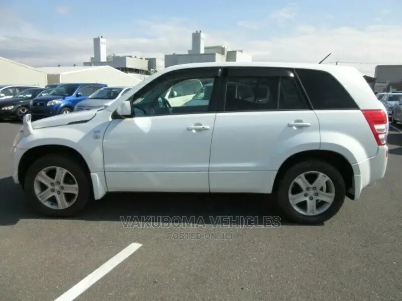 Suzuki Escudo 2006 Pearl