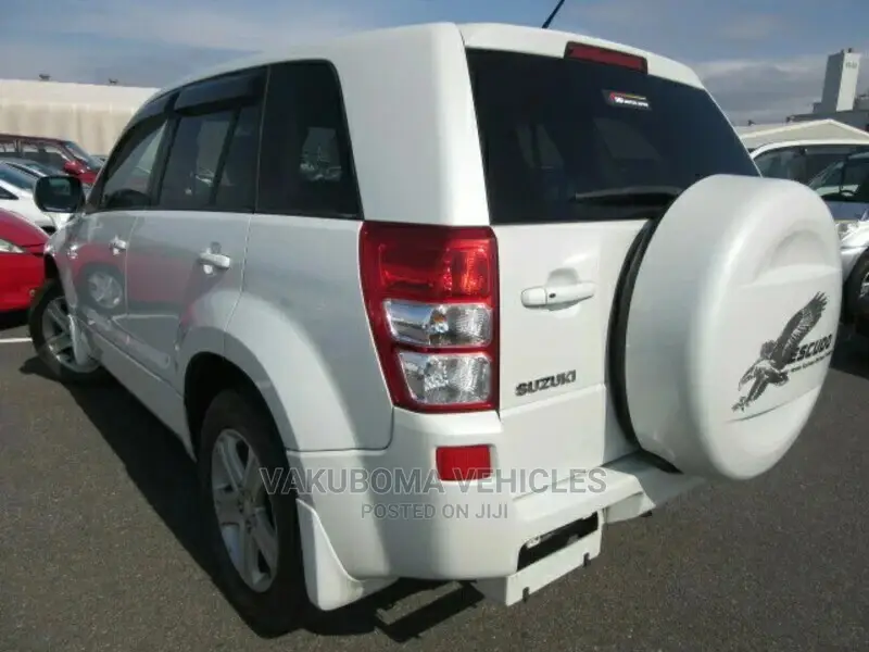 Suzuki Escudo 2006 Pearl