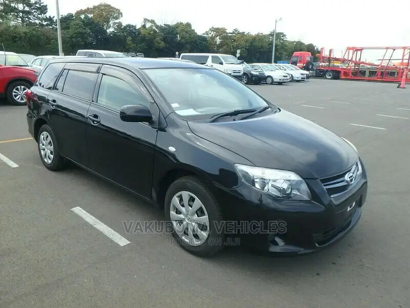 Toyota Corolla Fielder 2010 Black