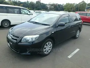 Toyota Corolla Fielder 2010 Black