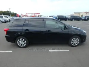 Toyota Corolla Fielder 2010 Black