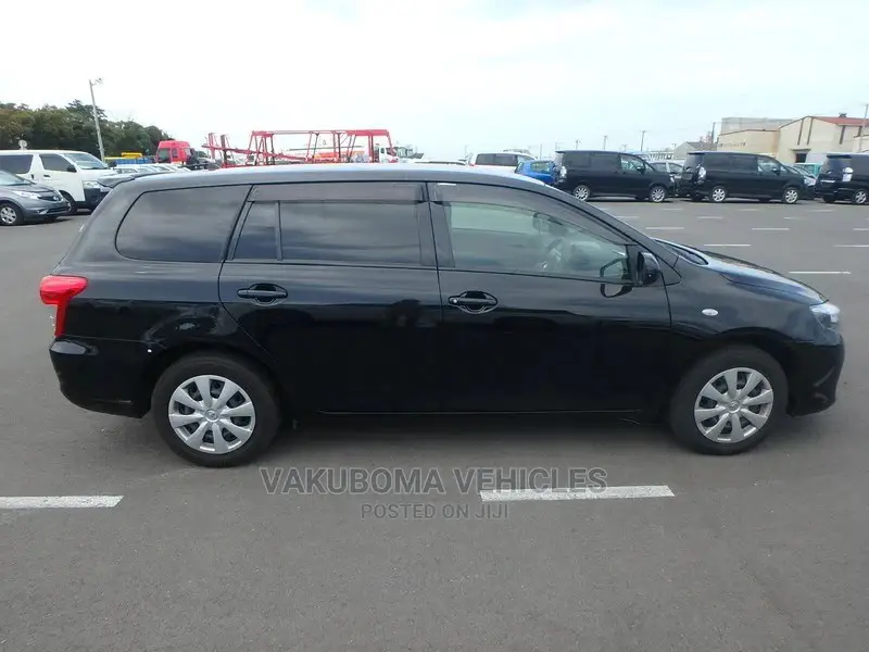 Toyota Corolla Fielder 2010 Black