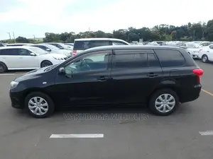 Toyota Corolla Fielder 2010 Black
