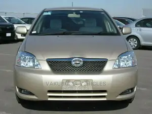Toyota Corolla RunX 2004 Gold