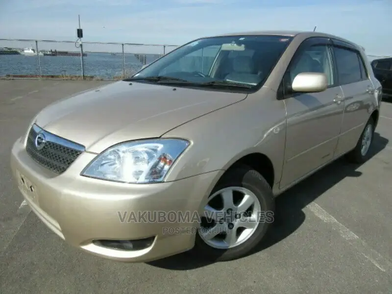 Toyota Corolla RunX 2004 Gold