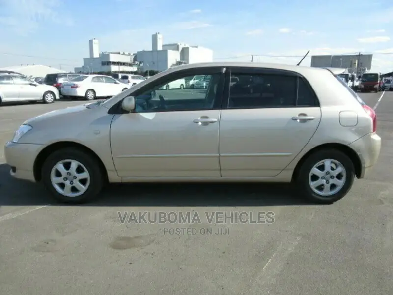 Toyota Corolla RunX 2004 Gold