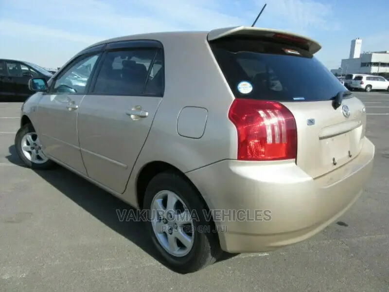 Toyota Corolla RunX 2004 Gold