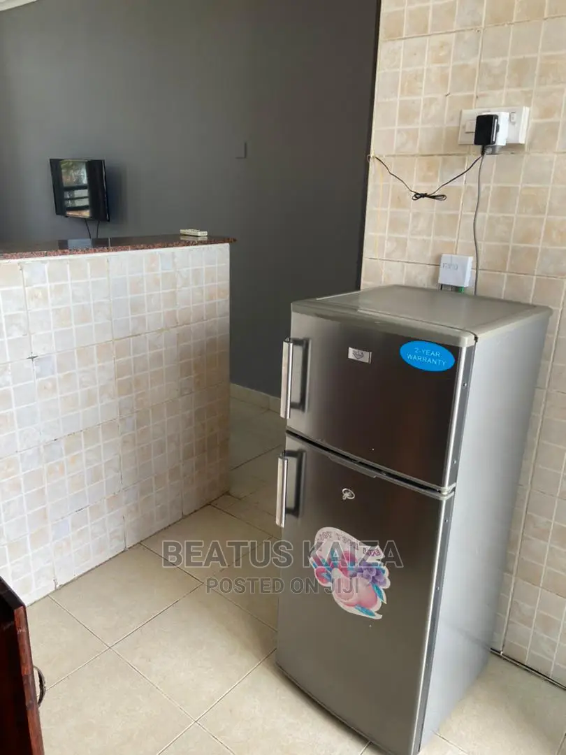 Furnished 1bdrm Block of Flats in Msasani General Tire for Rent