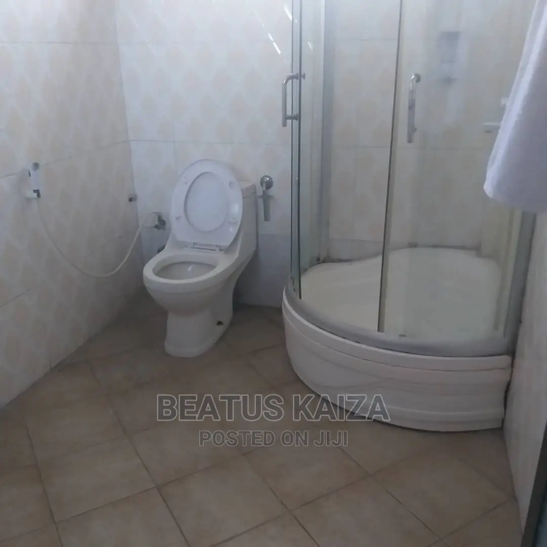 Furnished 1bdrm Block of Flats in Fullyfunished Studio, Mwananyamala