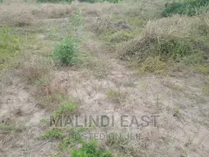 Kigamboni Amani Beach at Avic Town Plot for Sale Kigamboni