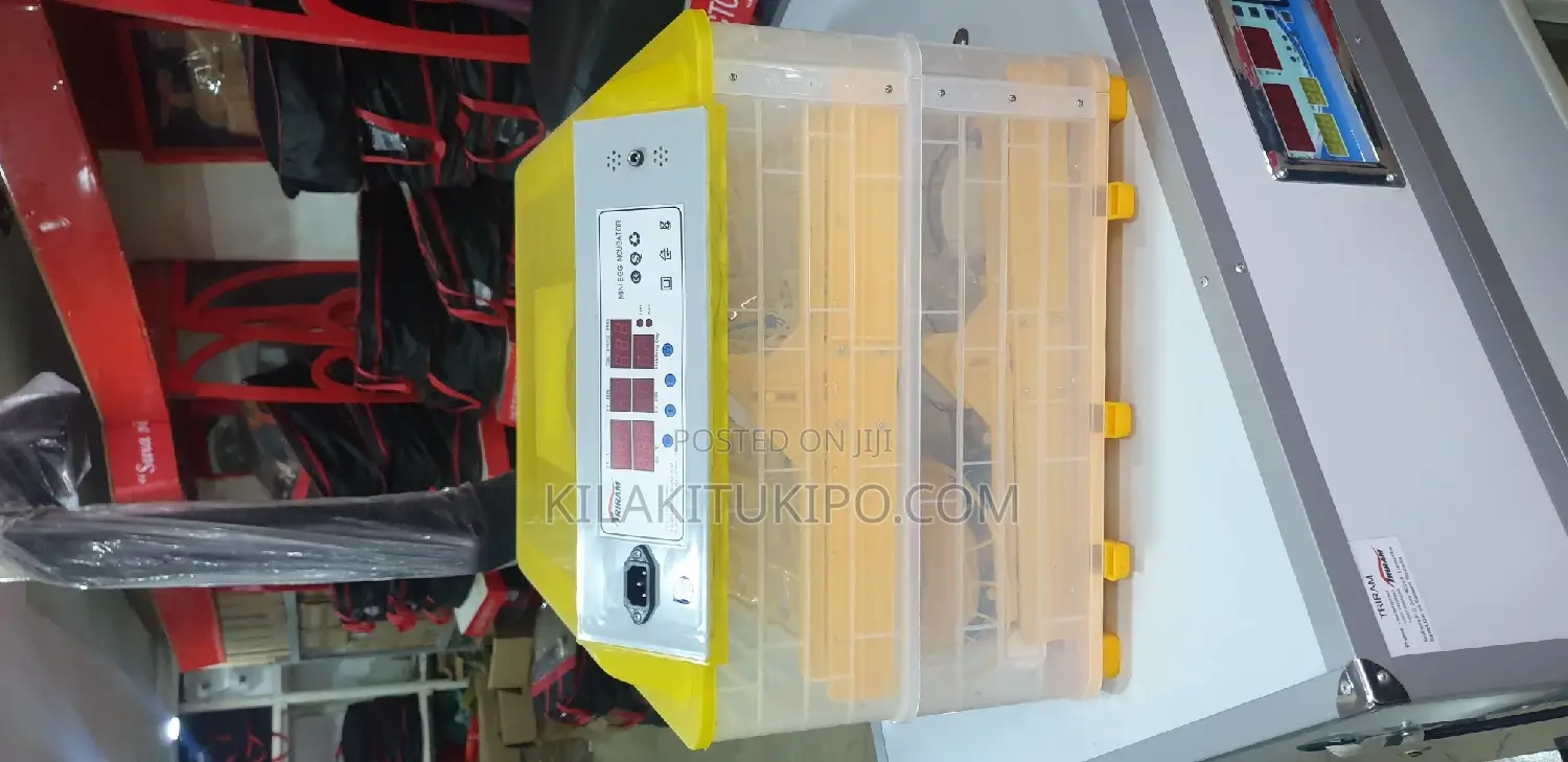 Egg Incubator 264 Eggs