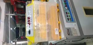 Egg Incubator 264 Eggs