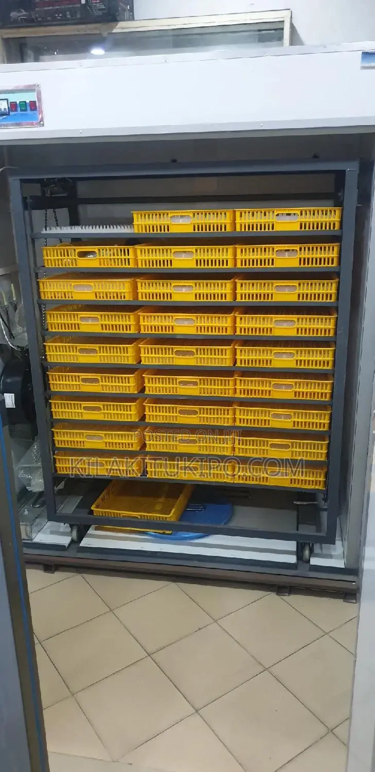 Egg Incubator 1232 Eggs