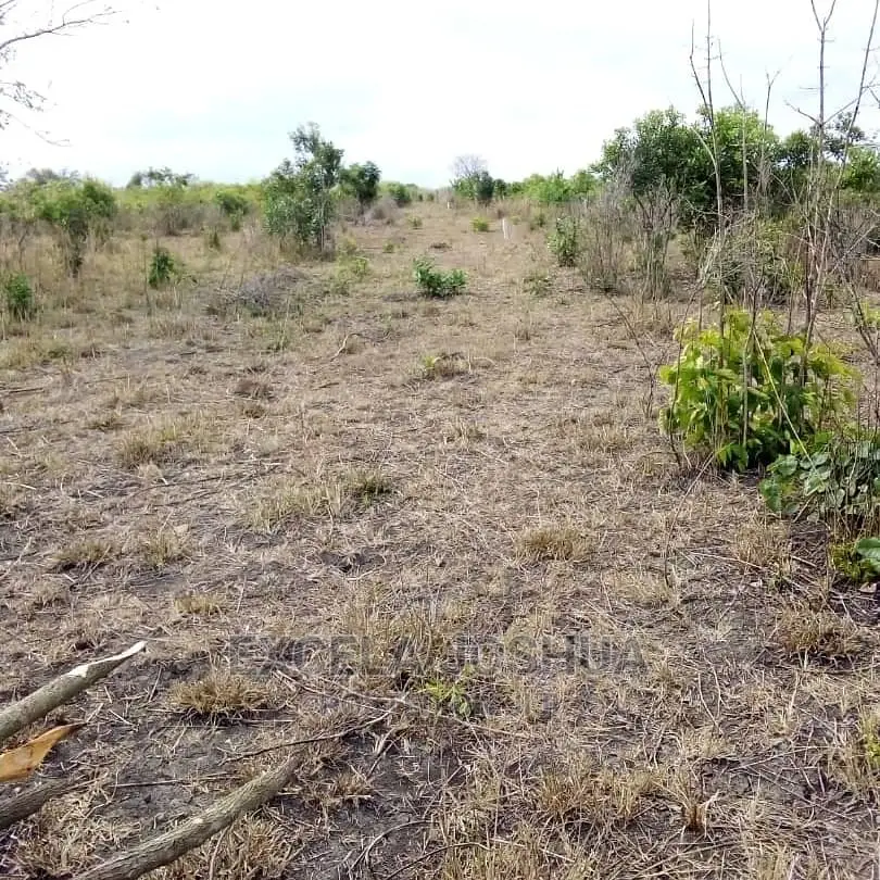 Shamba Linauzwa Kiwangwa Bagamoyo