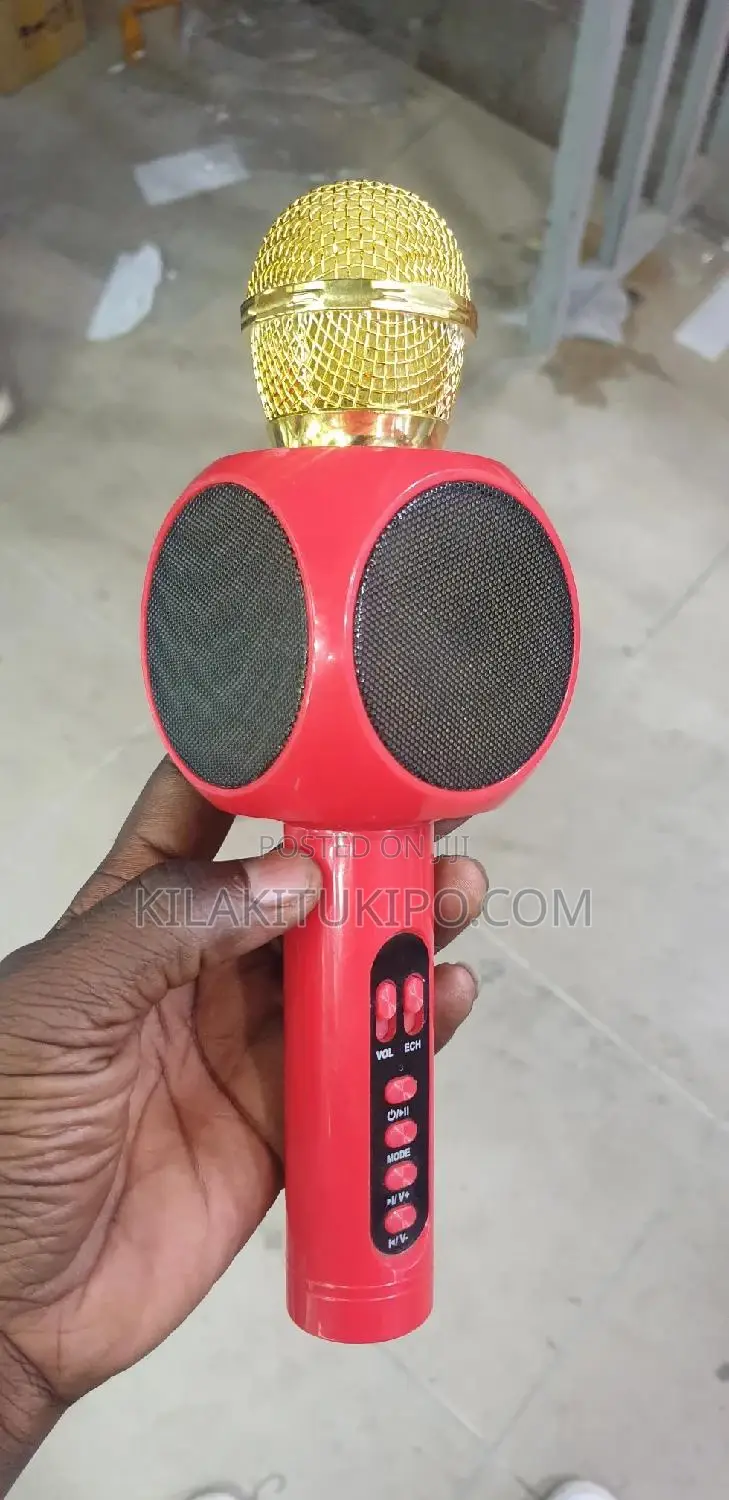 Wireless Rechargeable Mike