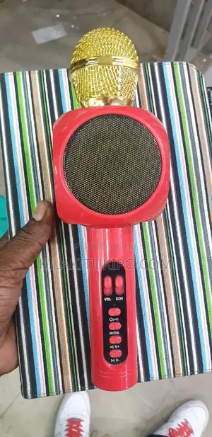 Wireless Rechargeable Mike