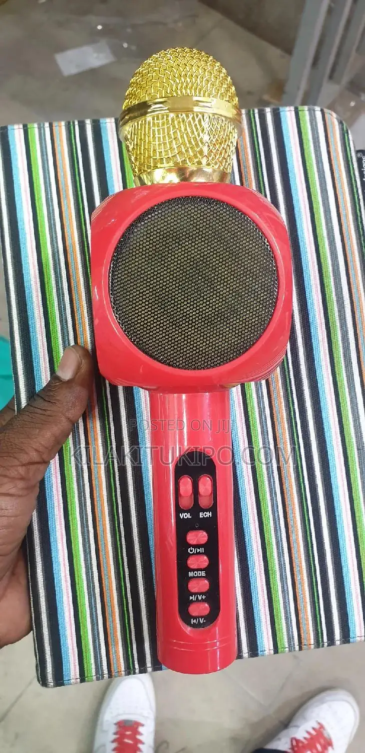 Wireless Rechargeable Mike