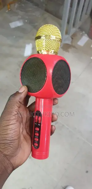 Wireless Rechargeable Mike