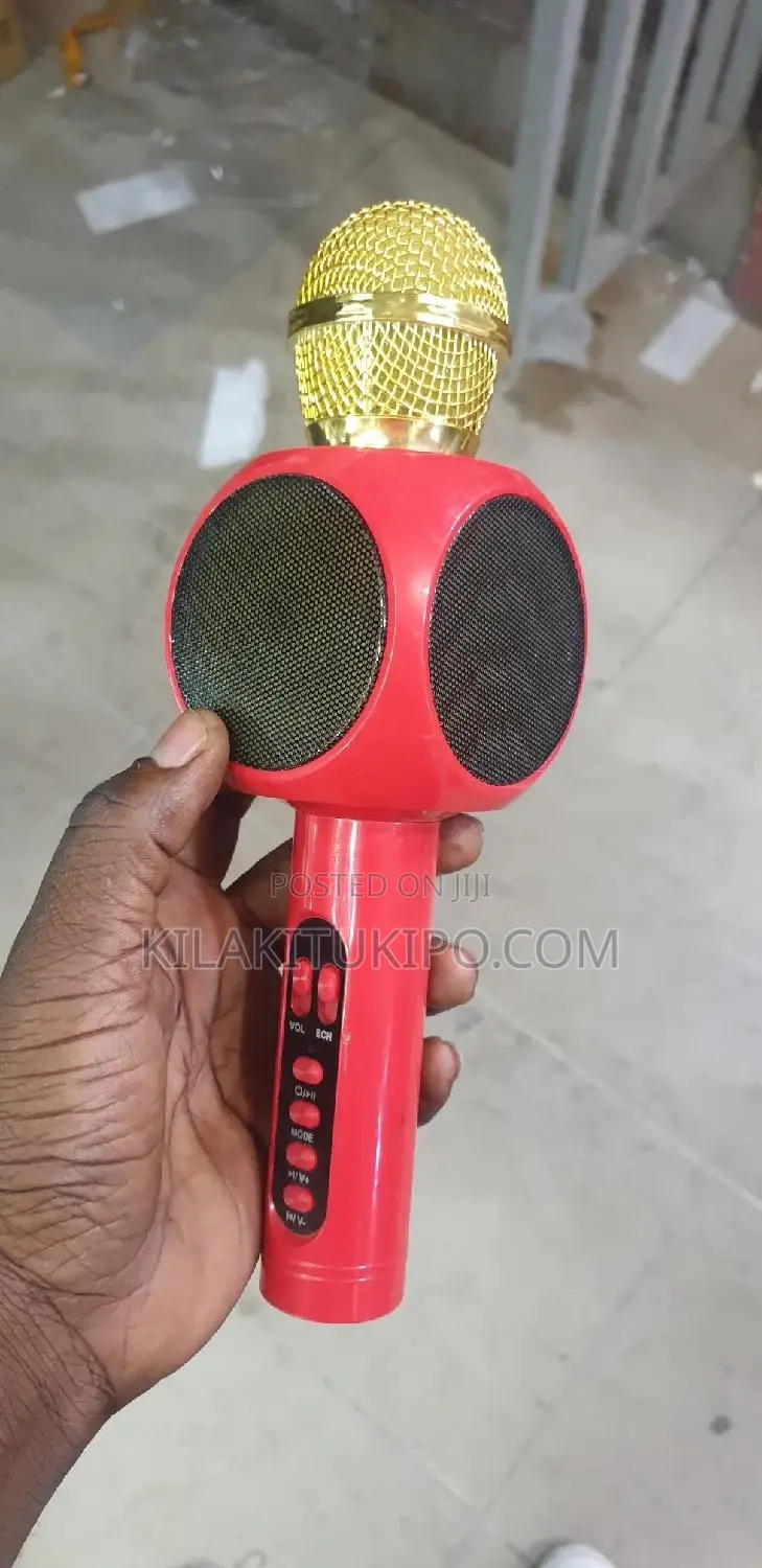 Wireless Rechargeable Mike
