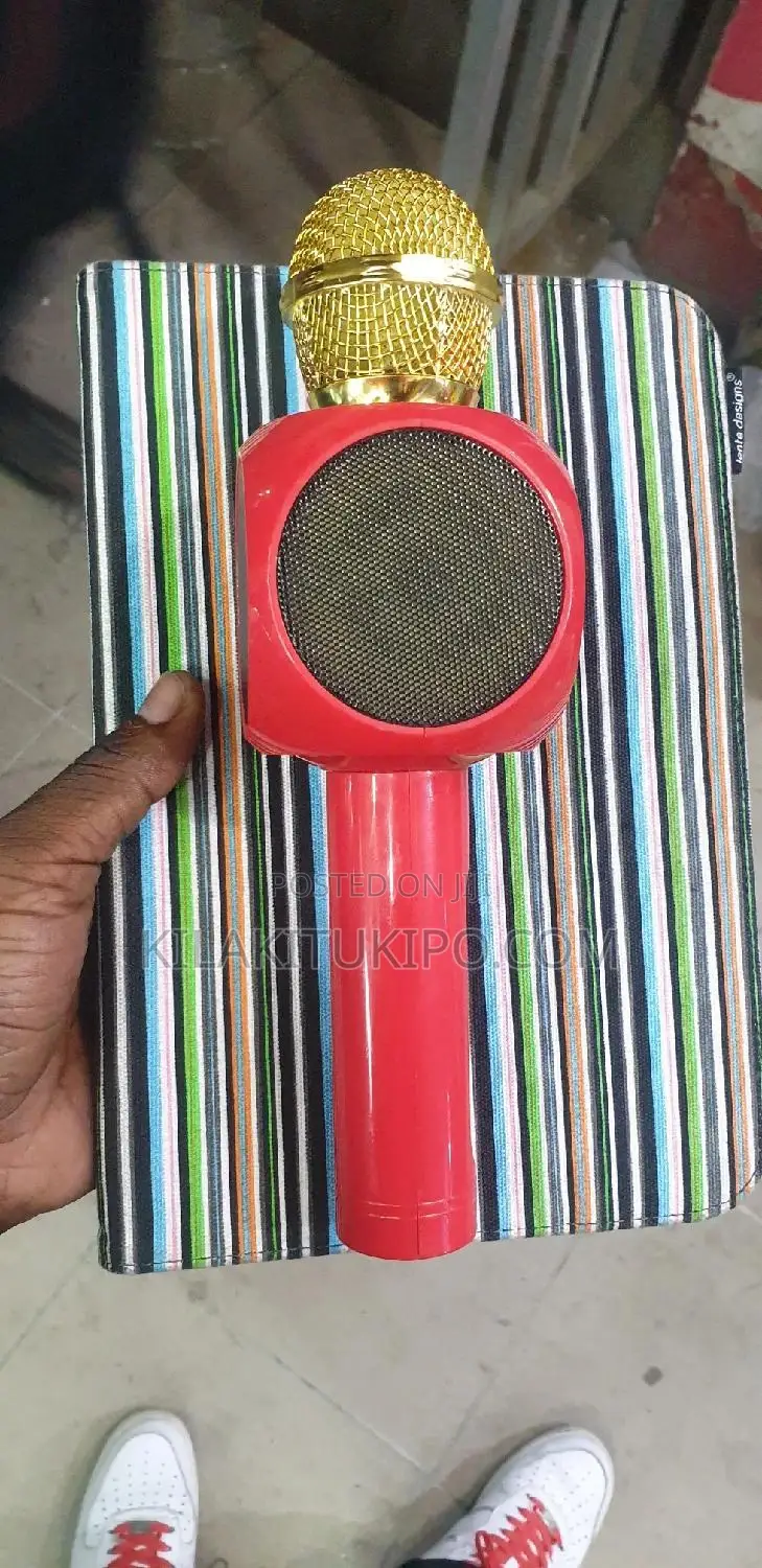 Wireless Rechargeable Mike