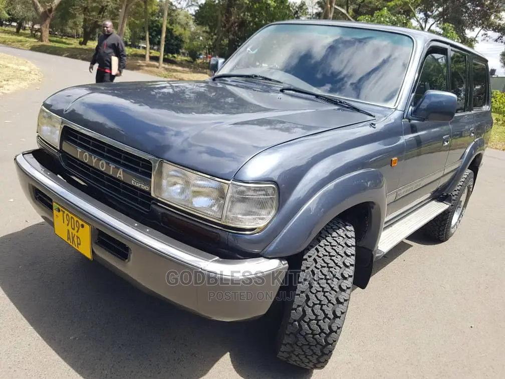 Toyota Land Cruiser 1996 Gray
