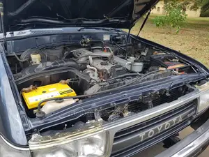 Toyota Land Cruiser 1996 Gray