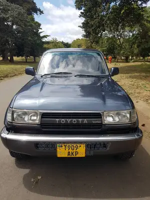 Toyota Land Cruiser 1996 Gray