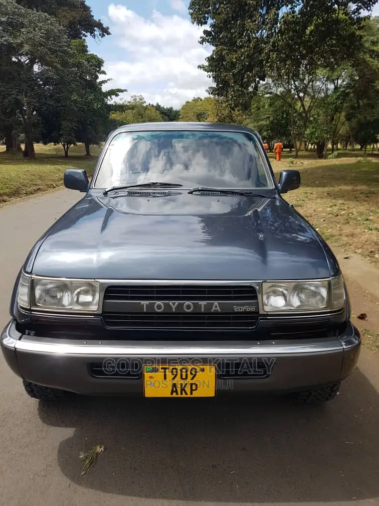 Toyota Land Cruiser 1996 Gray