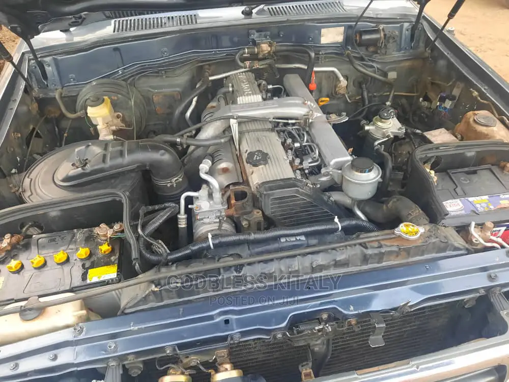 Toyota Land Cruiser 1996 Gray