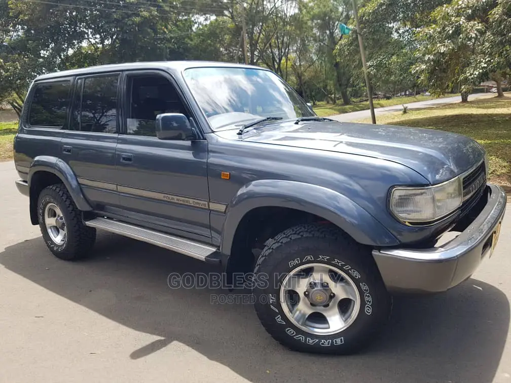 Toyota Land Cruiser 1996 Gray