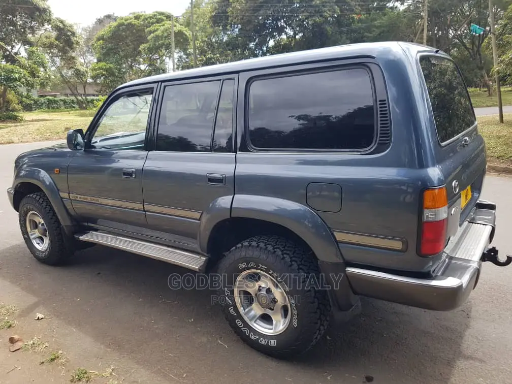 Toyota Land Cruiser 1996 Gray