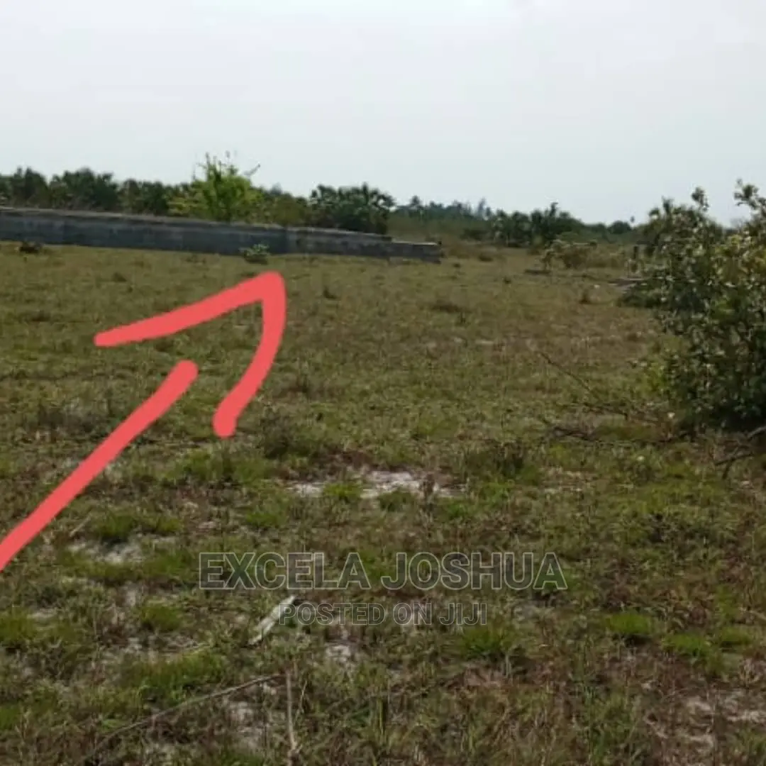 Kiwanja Kizuri Kinauzwa Kigamboni Gezaulole Juu